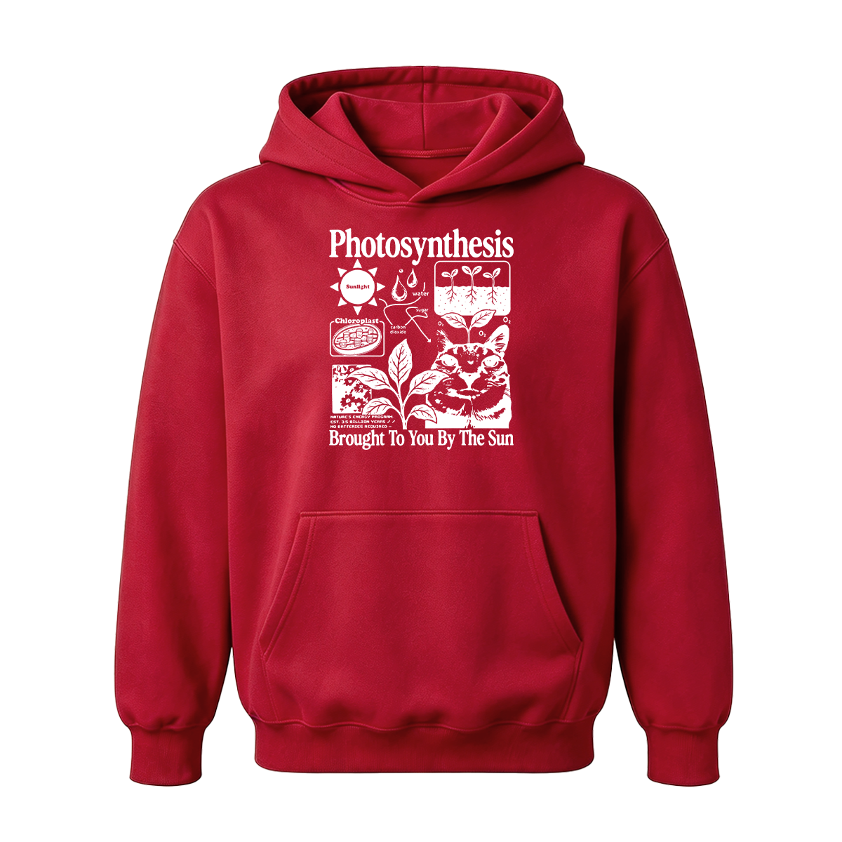 Photosynthesis Cat Oversized T-shirt
