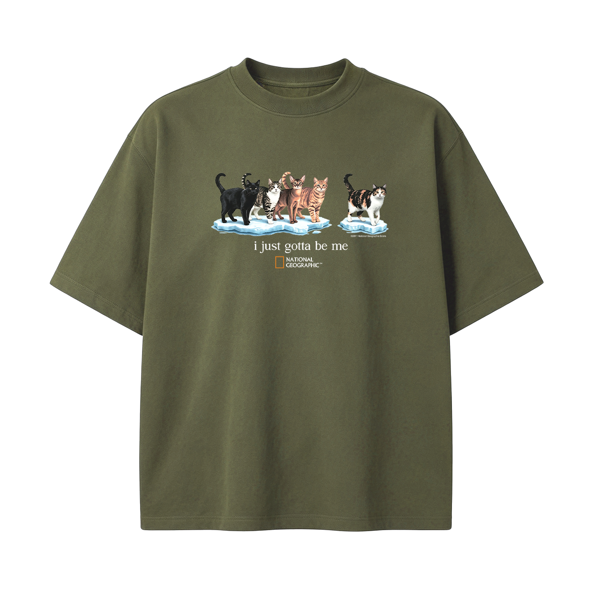 I Just Gotta Be Me T-shirt