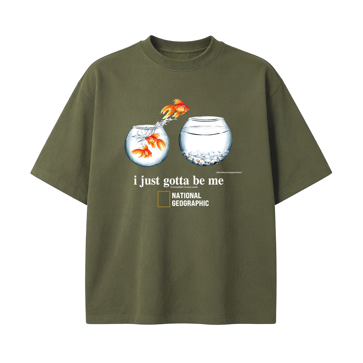 I Just Gotta Be Me Flying Goldfish Oversized T-shirt