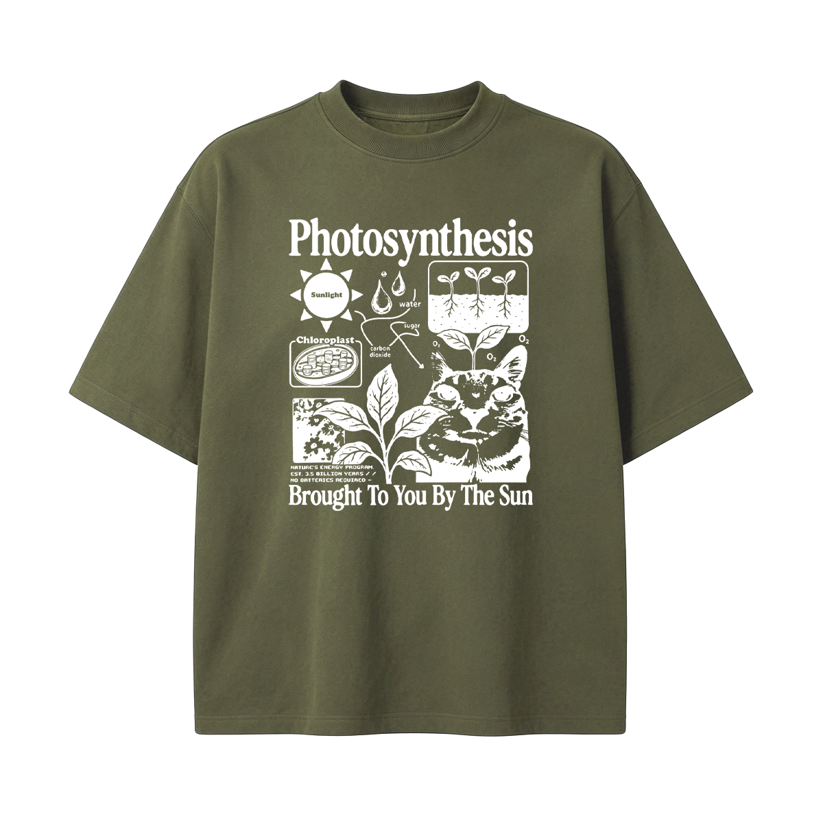 Photosynthesis Cat Oversized T-shirt