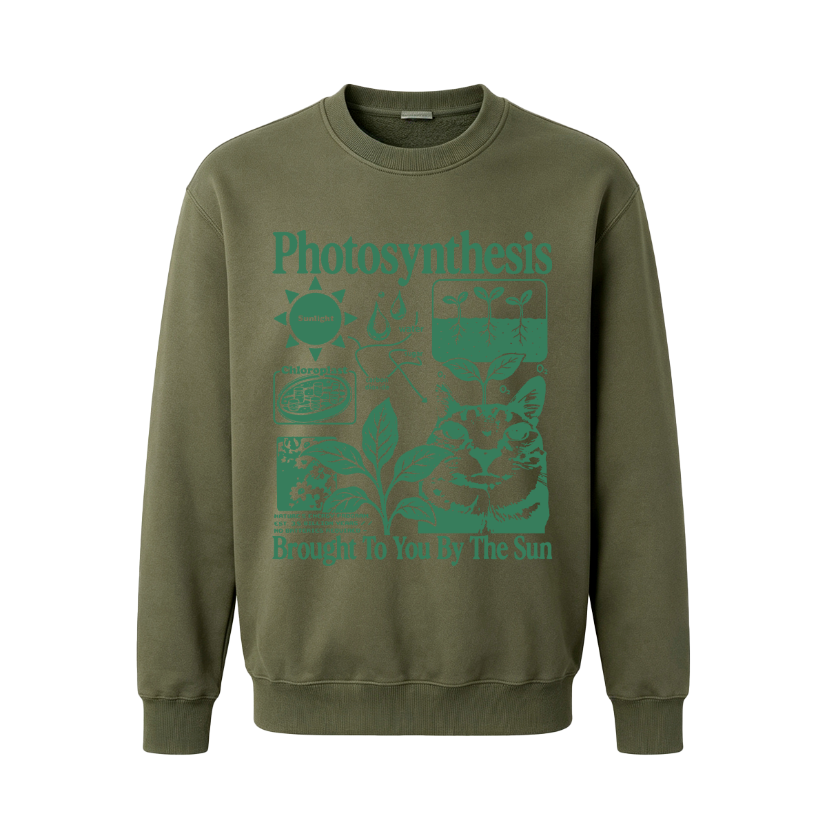 Photosynthesis Cat Oversized T-shirt