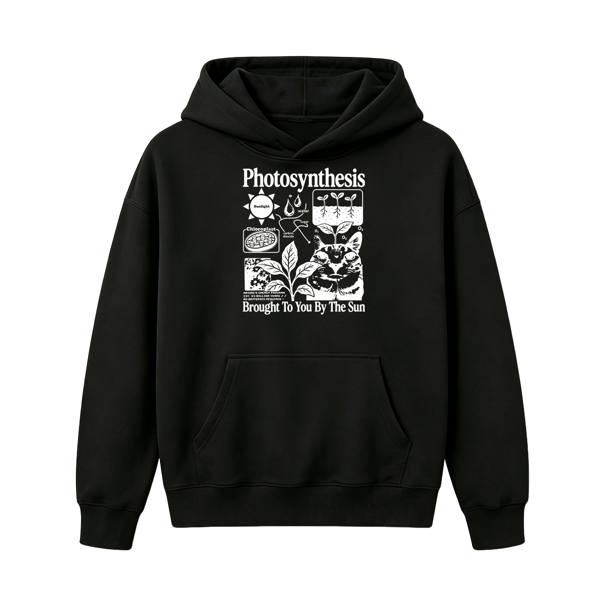 Photosynthesis Cat Oversized T-shirt