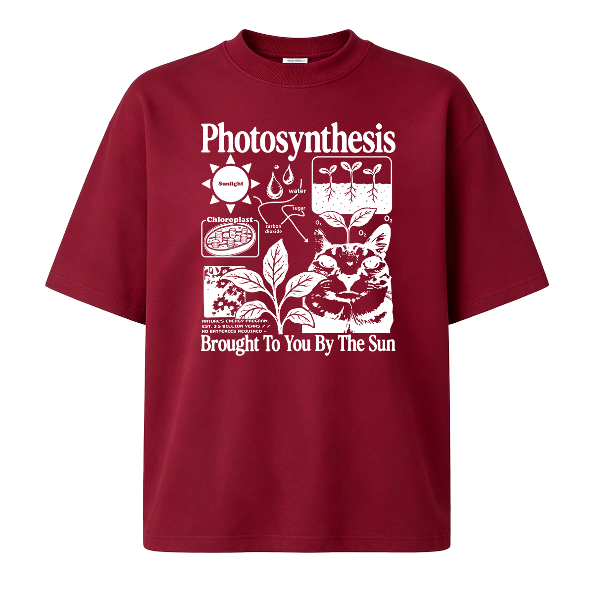 Photosynthesis Cat Oversized T-shirt