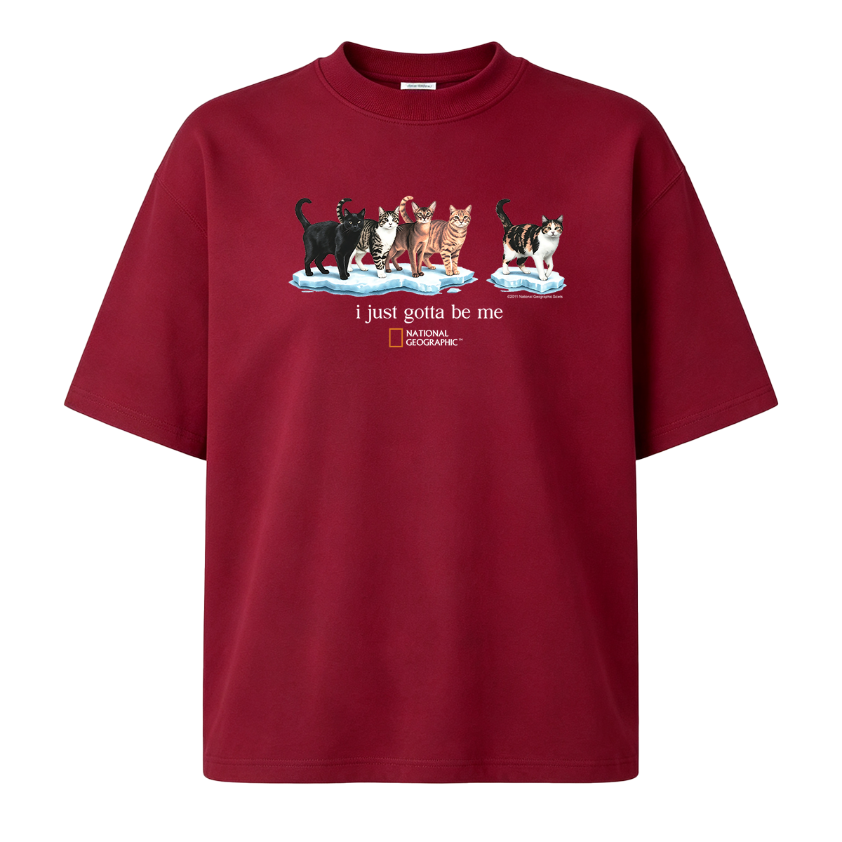I Just Gotta Be Me T-shirt