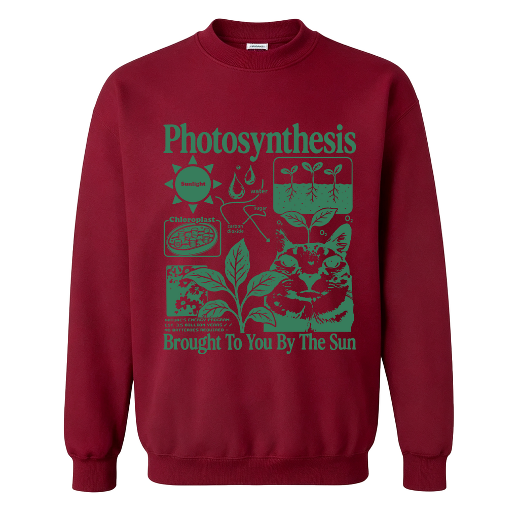Photosynthesis Cat Oversized T-shirt