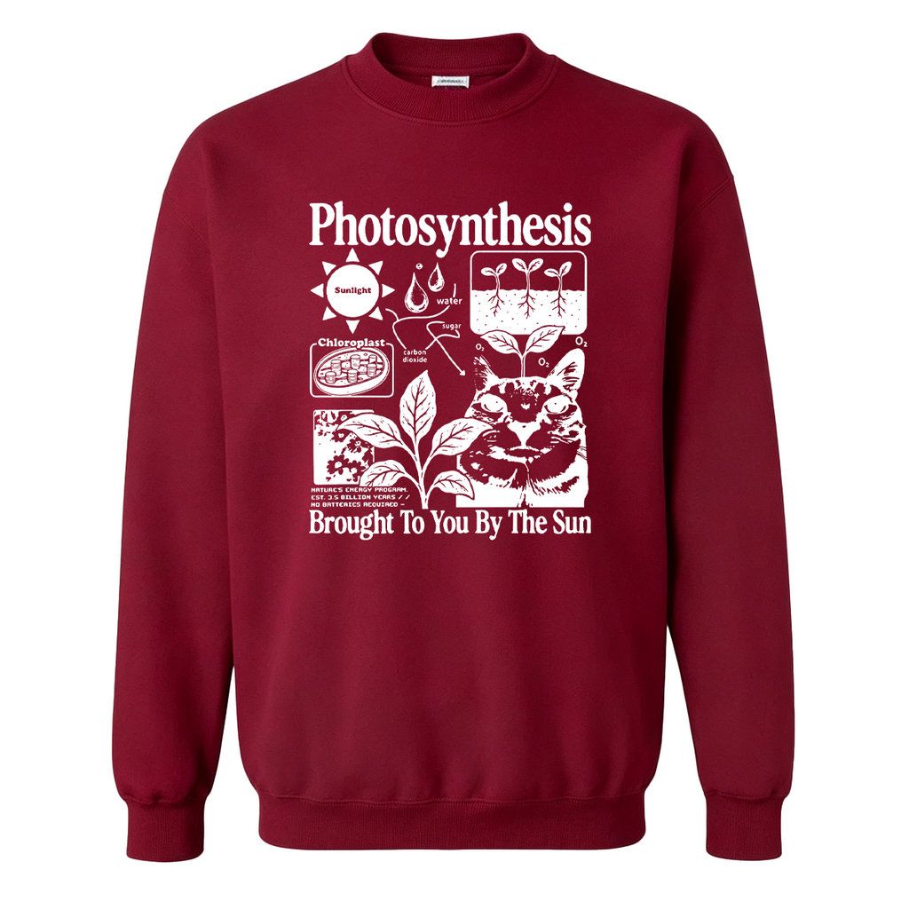 Photosynthesis Cat Oversized T-shirt