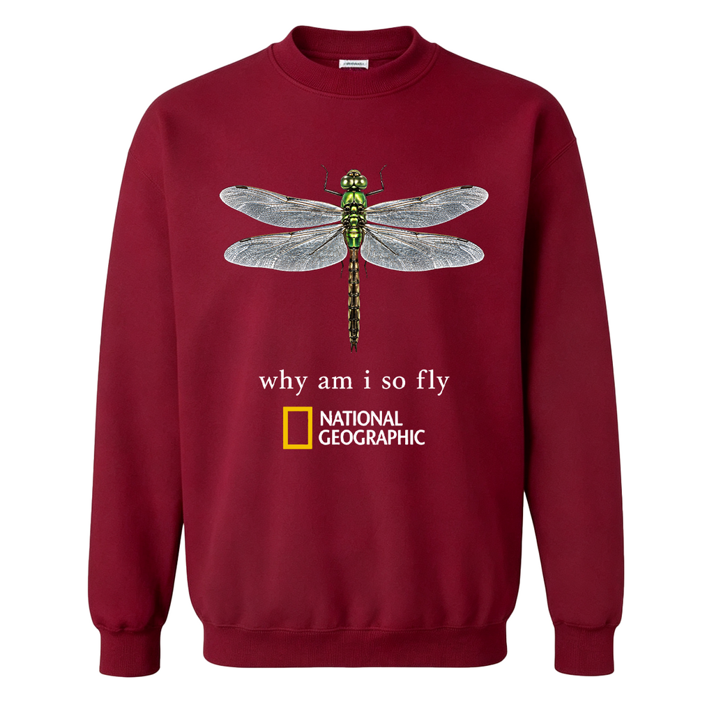 Vintage "Why Am I So Fly" Boxy Oversized T-shirt