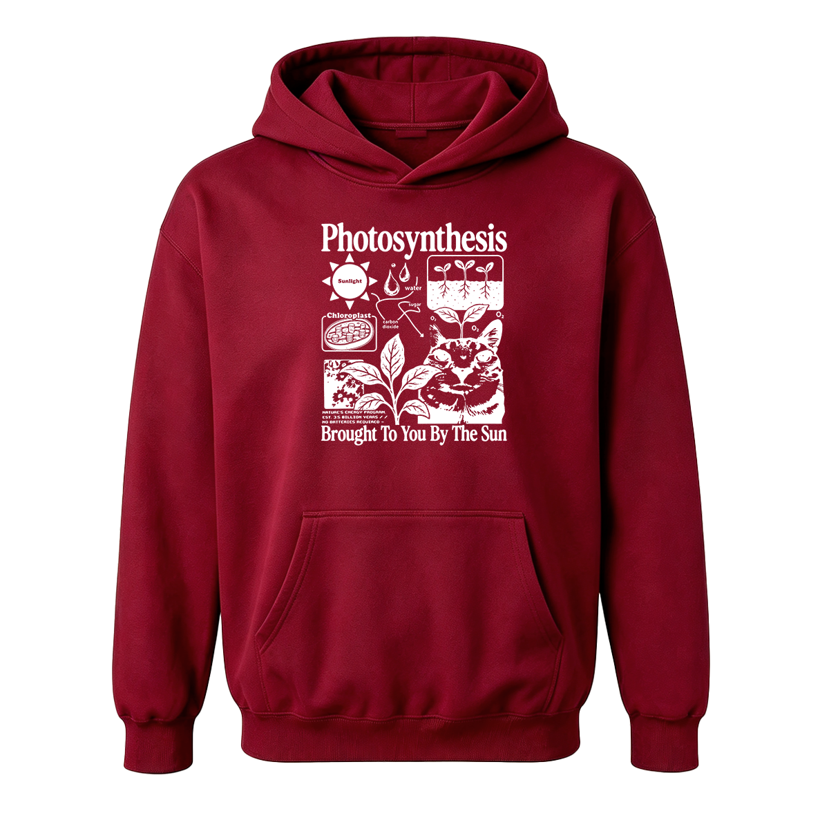 Photosynthesis Cat Oversized T-shirt