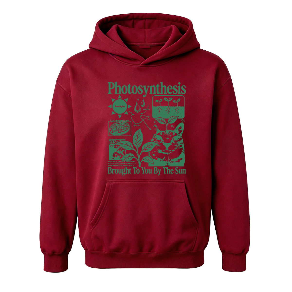 Photosynthesis Cat Oversized T-shirt