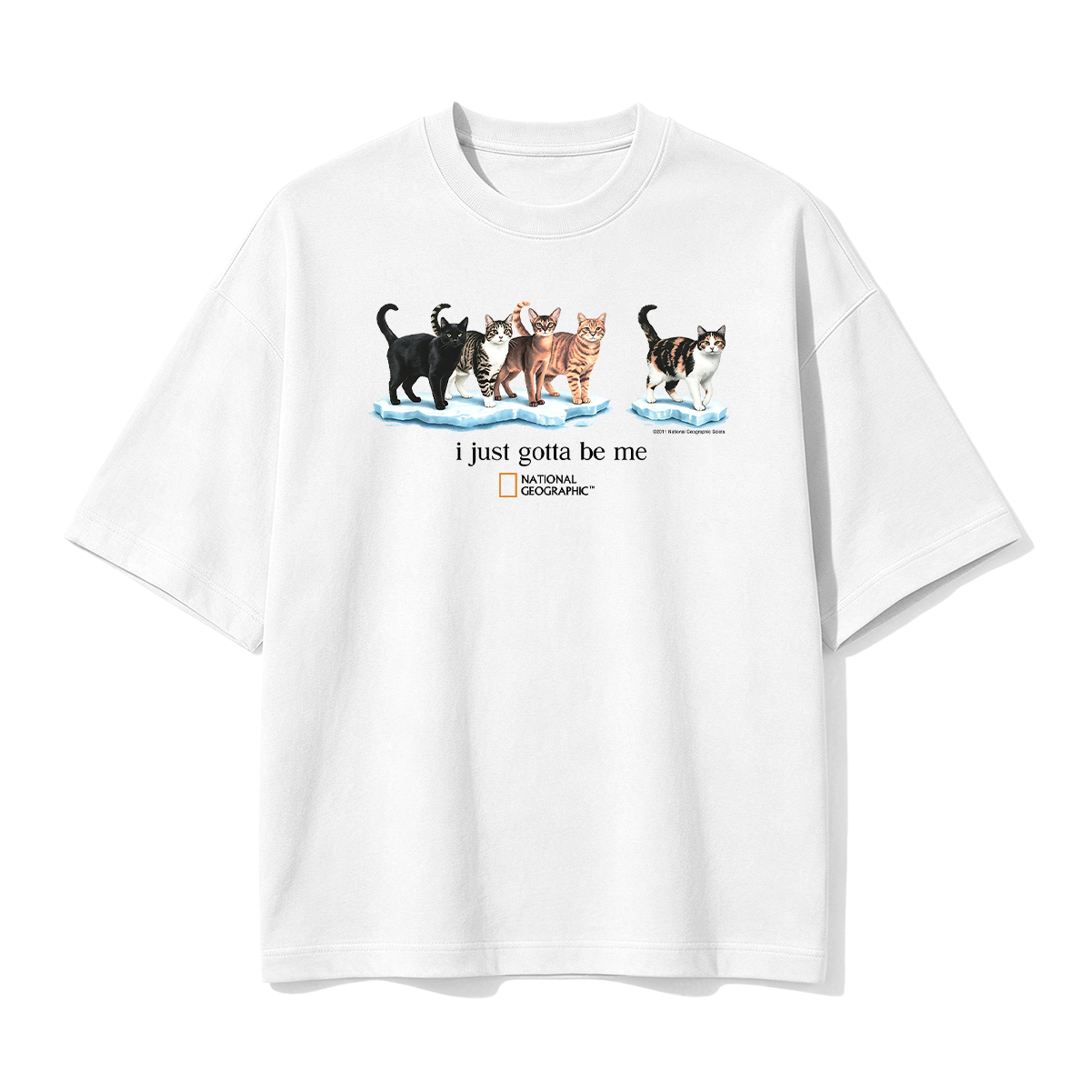 I Just Gotta Be Me T-shirt