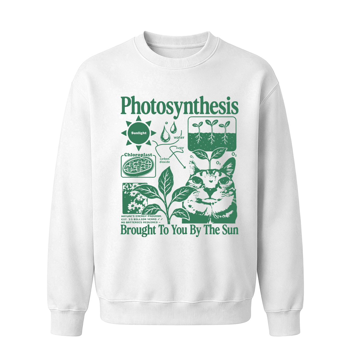 Photosynthesis Cat Oversized T-shirt