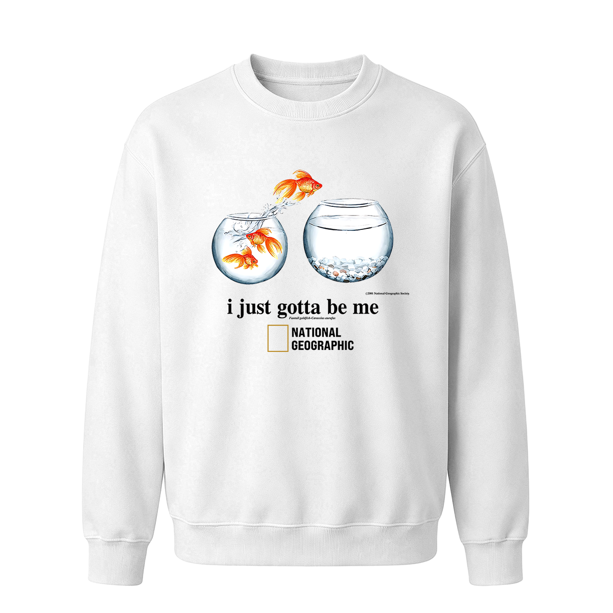 I Just Gotta Be Me Flying Goldfish Oversized T-shirt