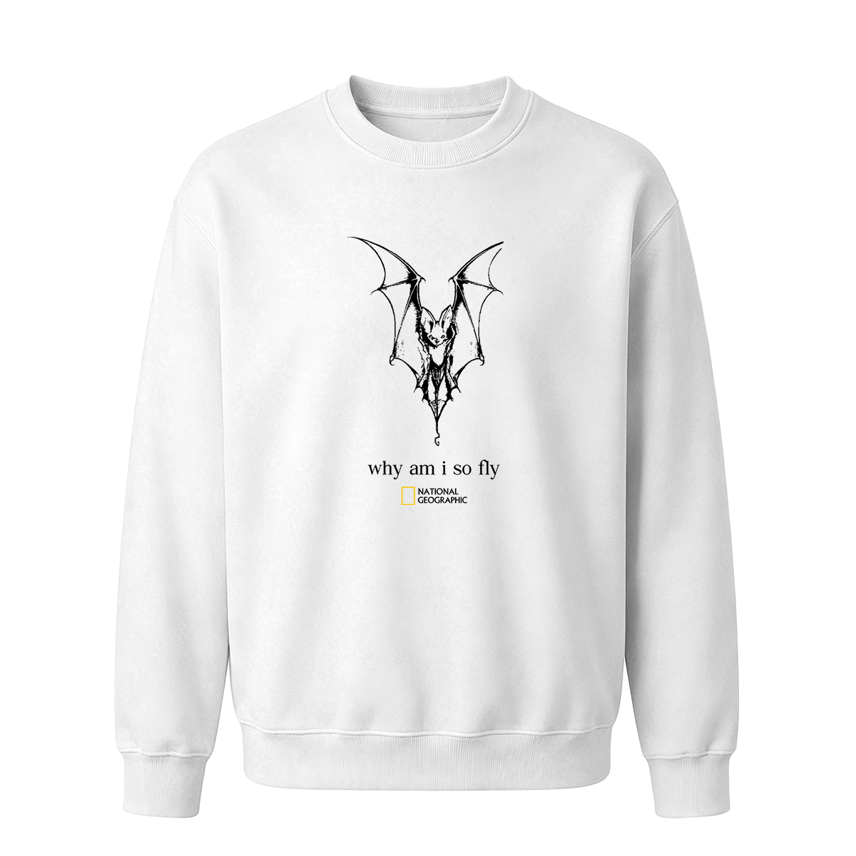 why am i so fly T-shirt