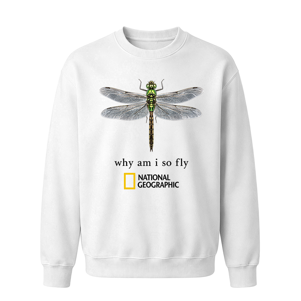 Vintage "Why Am I So Fly" Boxy Oversized T-shirt