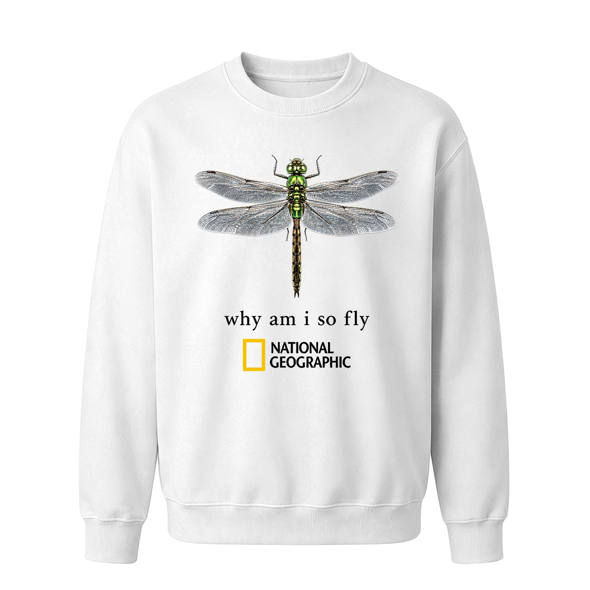 Vintage "Why Am I So Fly" Boxy Oversized T-shirt