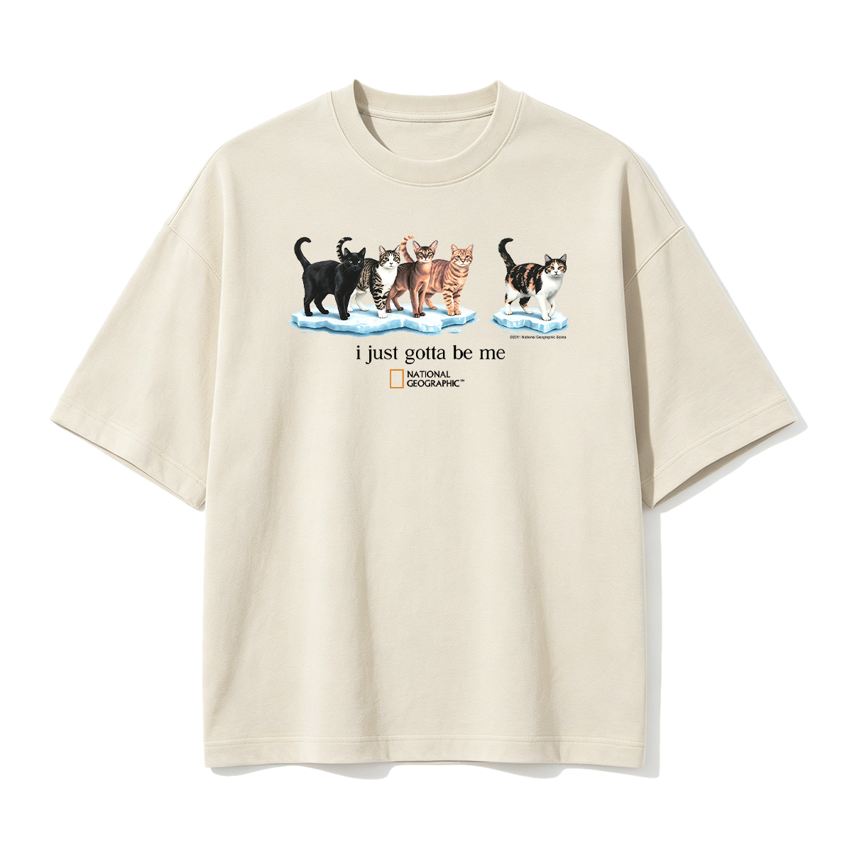 I Just Gotta Be Me T-shirt