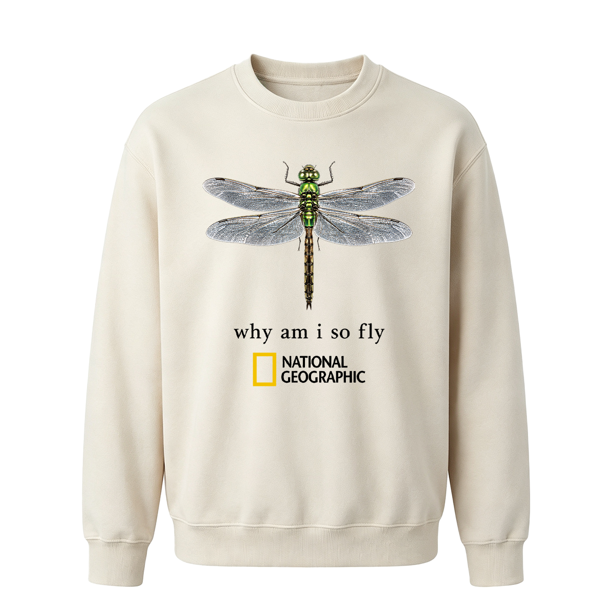 Vintage "Why Am I So Fly" Boxy Oversized T-shirt