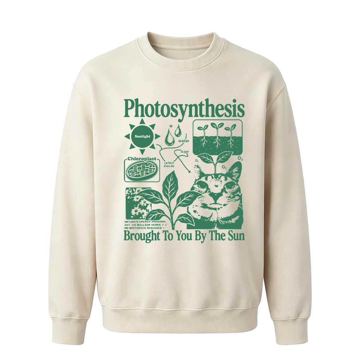 Photosynthesis Cat Oversized T-shirt