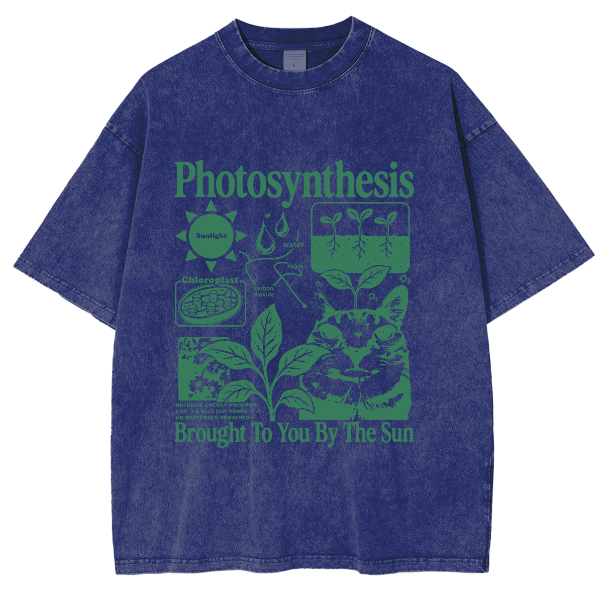 Photosynthesis Cat Washed T-shirts