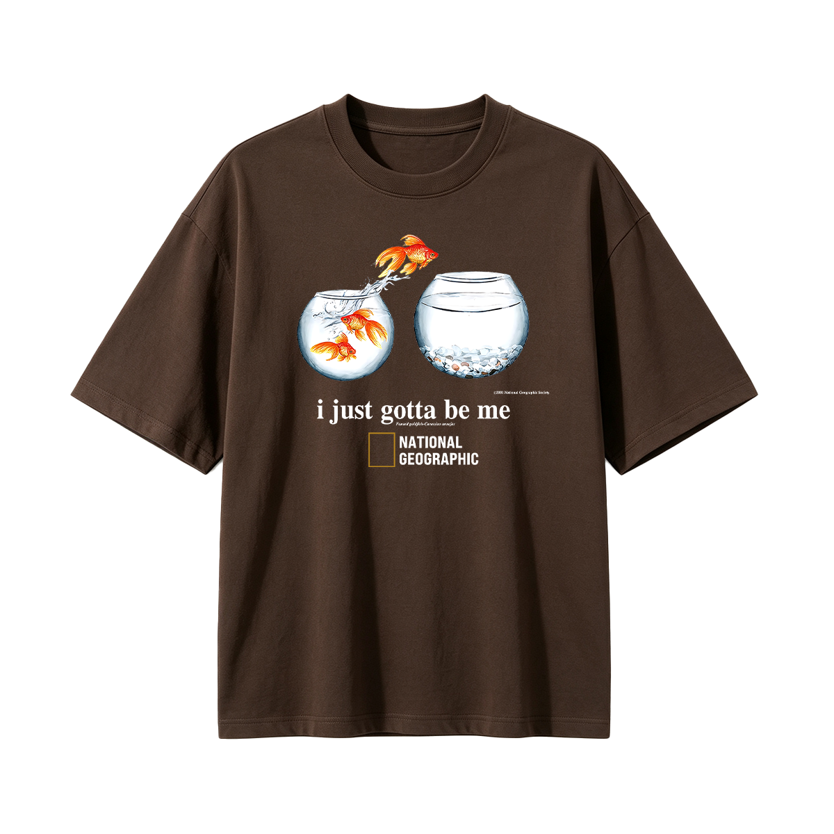 I Just Gotta Be Me Flying Goldfish Oversized T-shirt