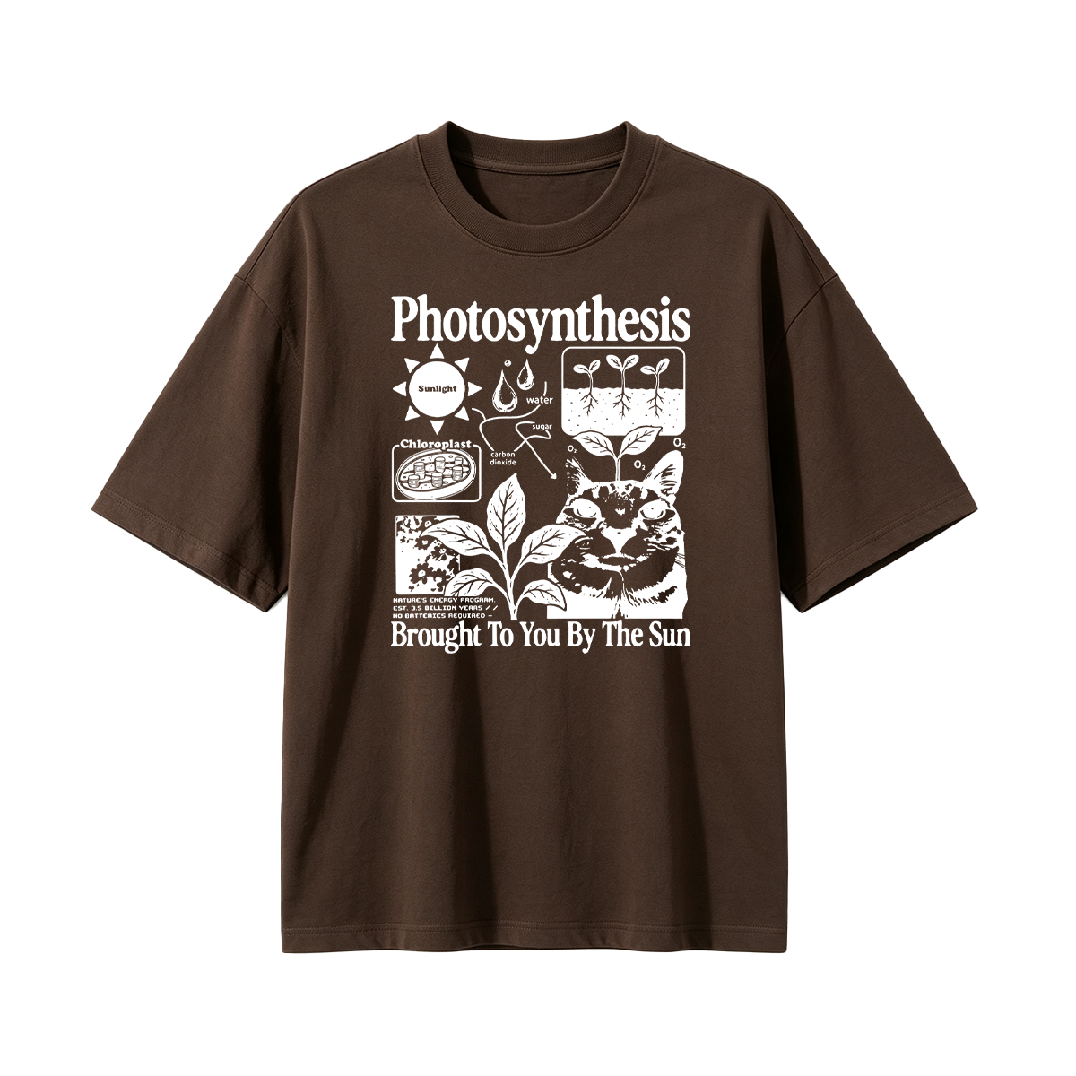 Photosynthesis Cat Oversized T-shirt