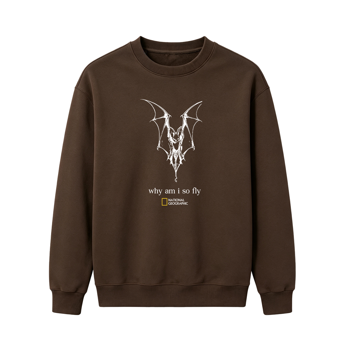 why am i so fly T-shirt