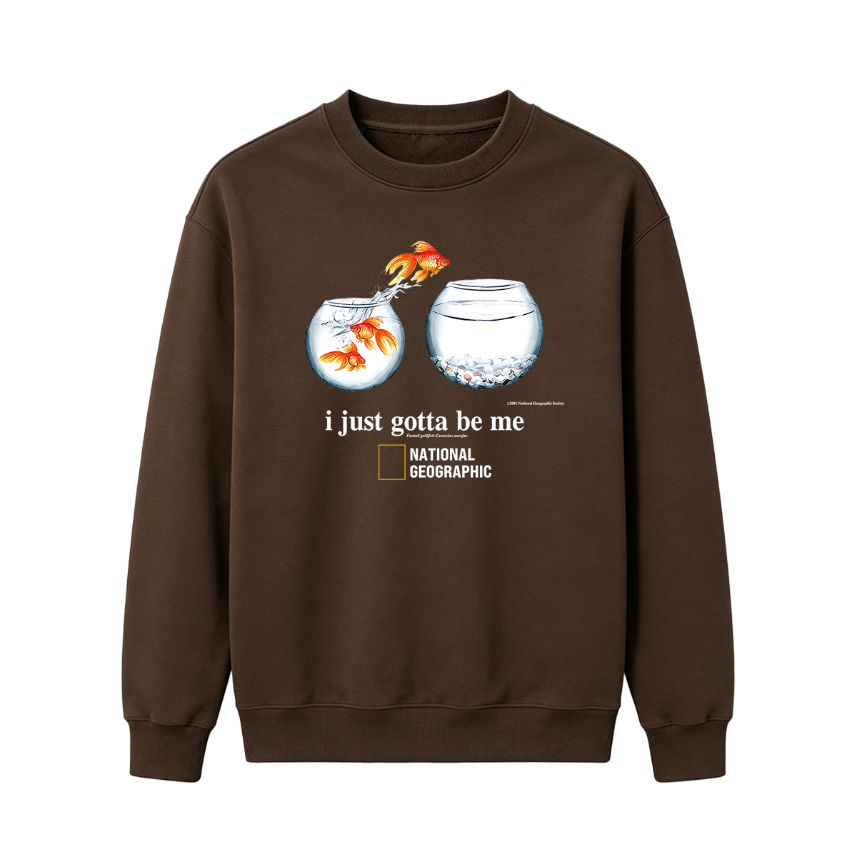 I Just Gotta Be Me Flying Goldfish Oversized T-shirt