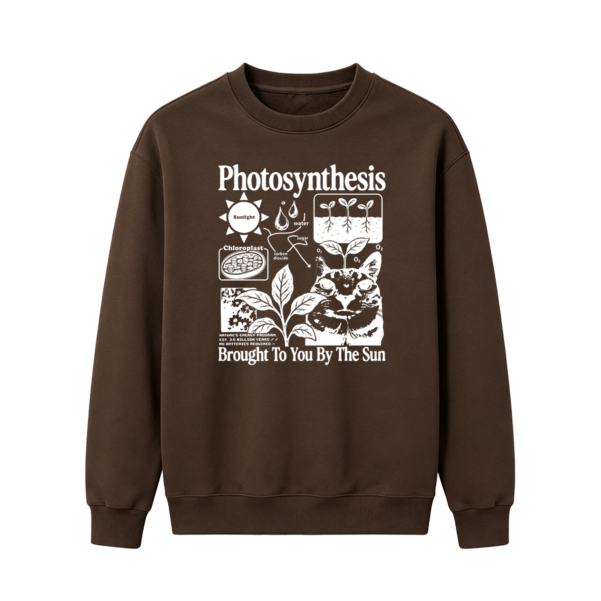 Photosynthesis Cat Oversized T-shirt