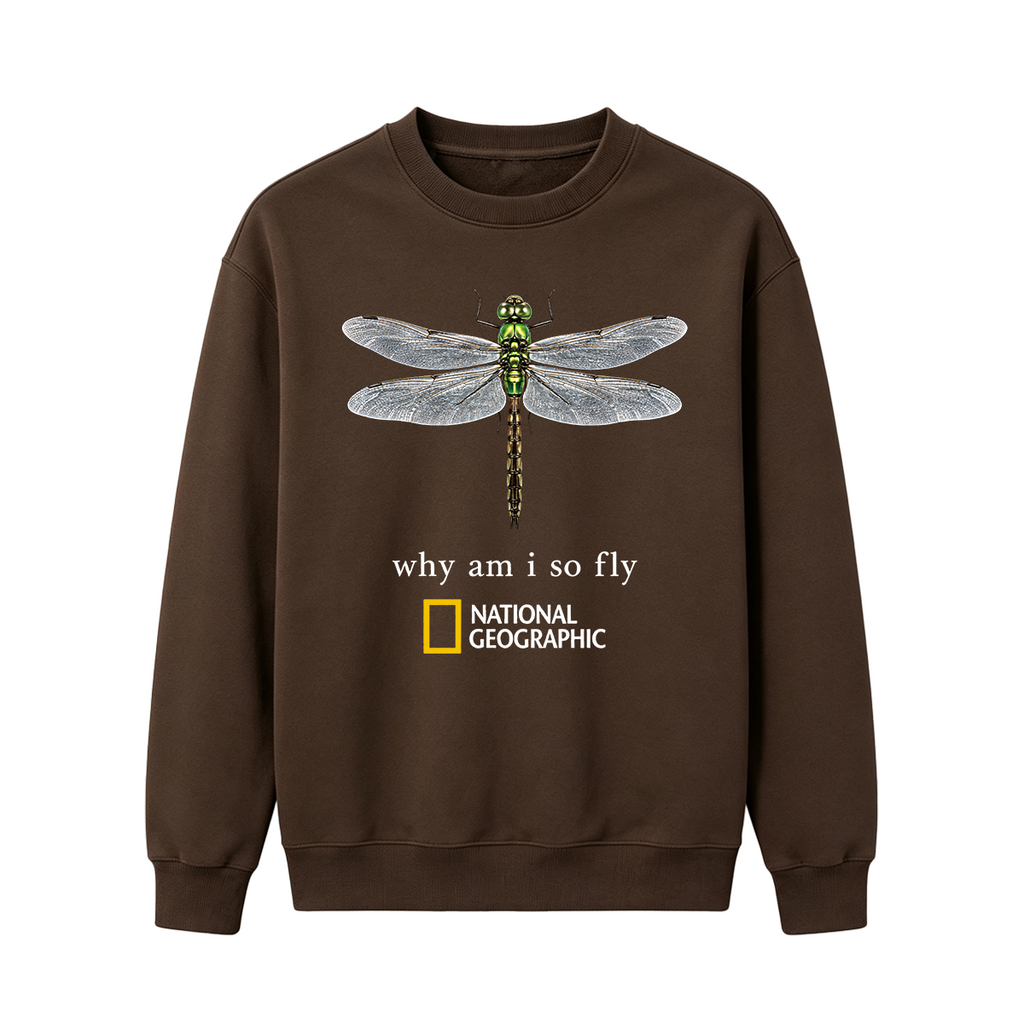 Vintage "Why Am I So Fly" Boxy Oversized T-shirt