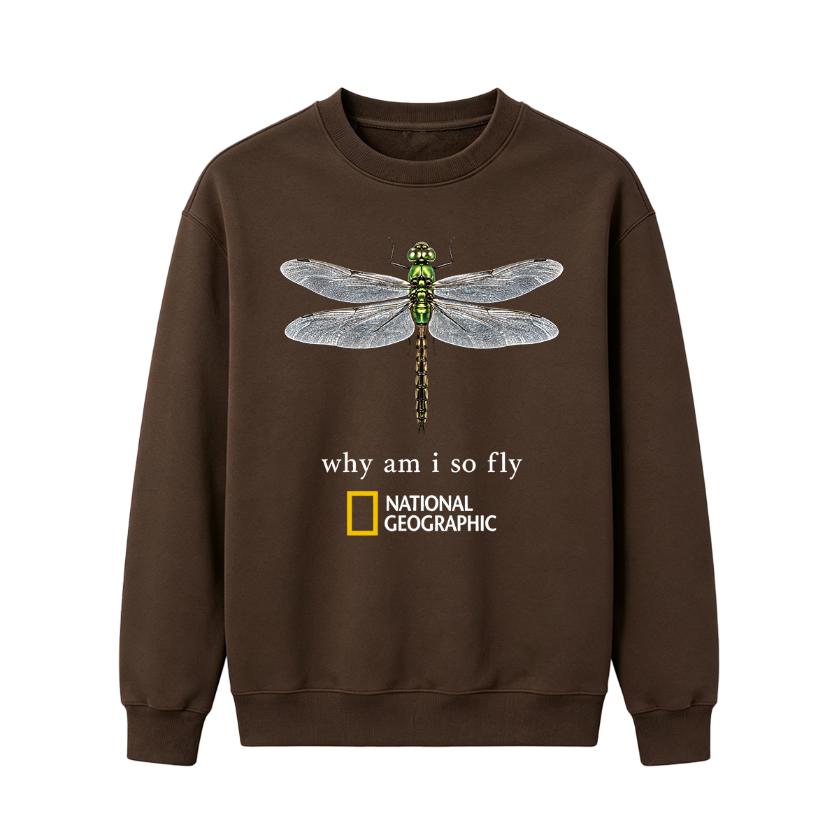 Vintage "Why Am I So Fly" Boxy Oversized T-shirt