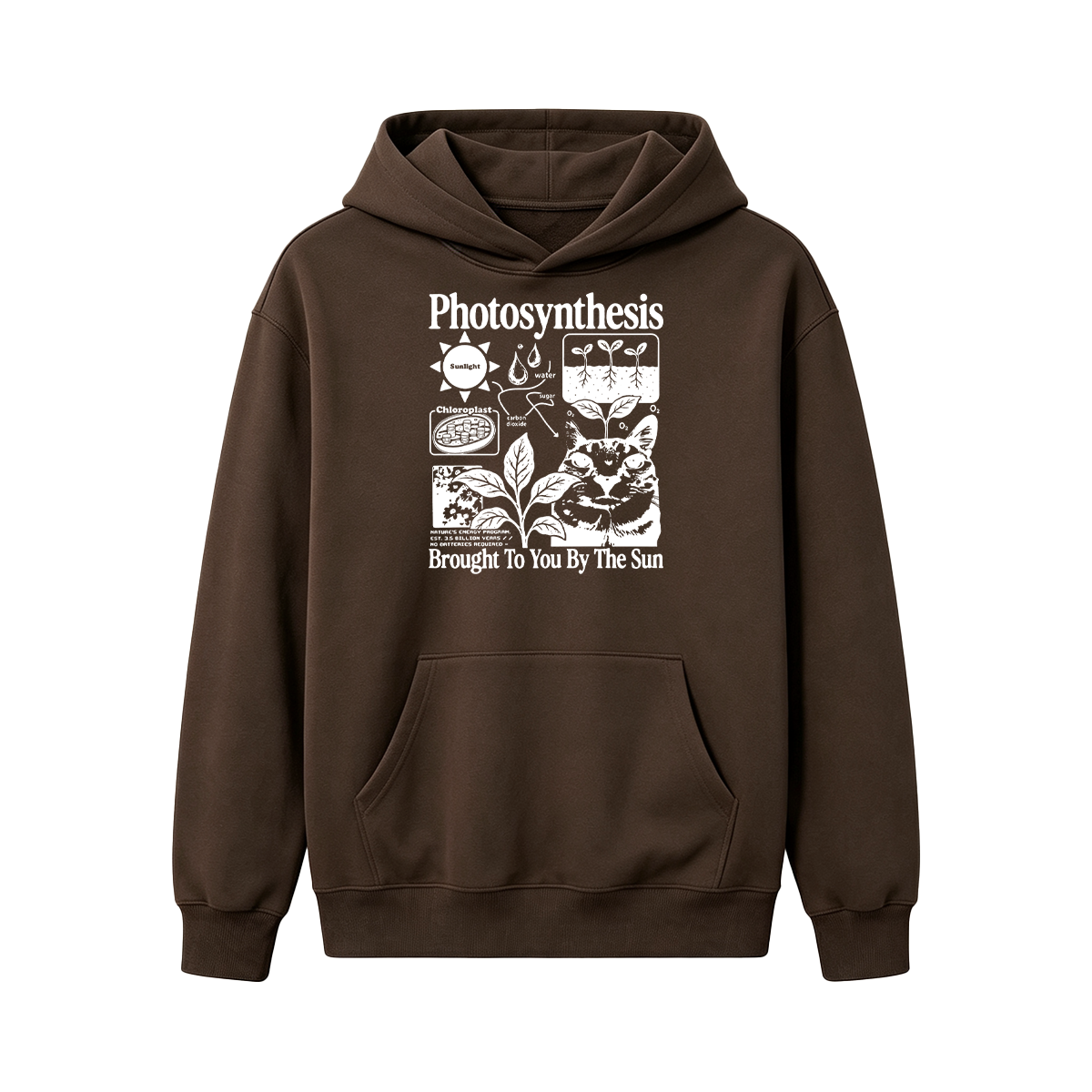Photosynthesis Cat Oversized T-shirt