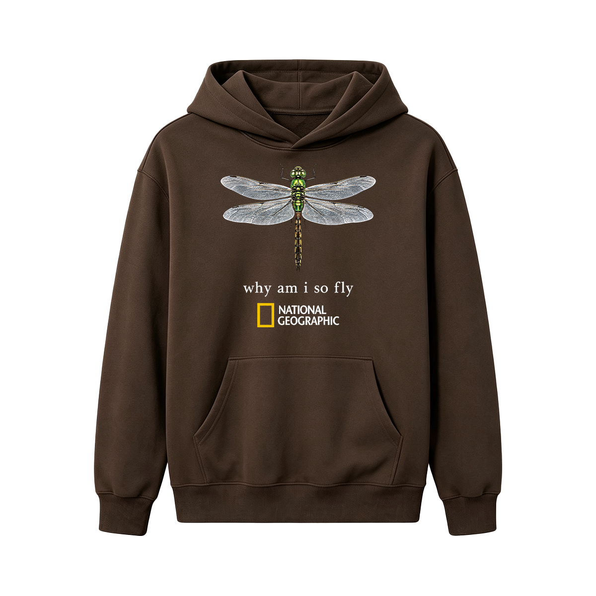 Vintage "Why Am I So Fly" Boxy Oversized T-shirt