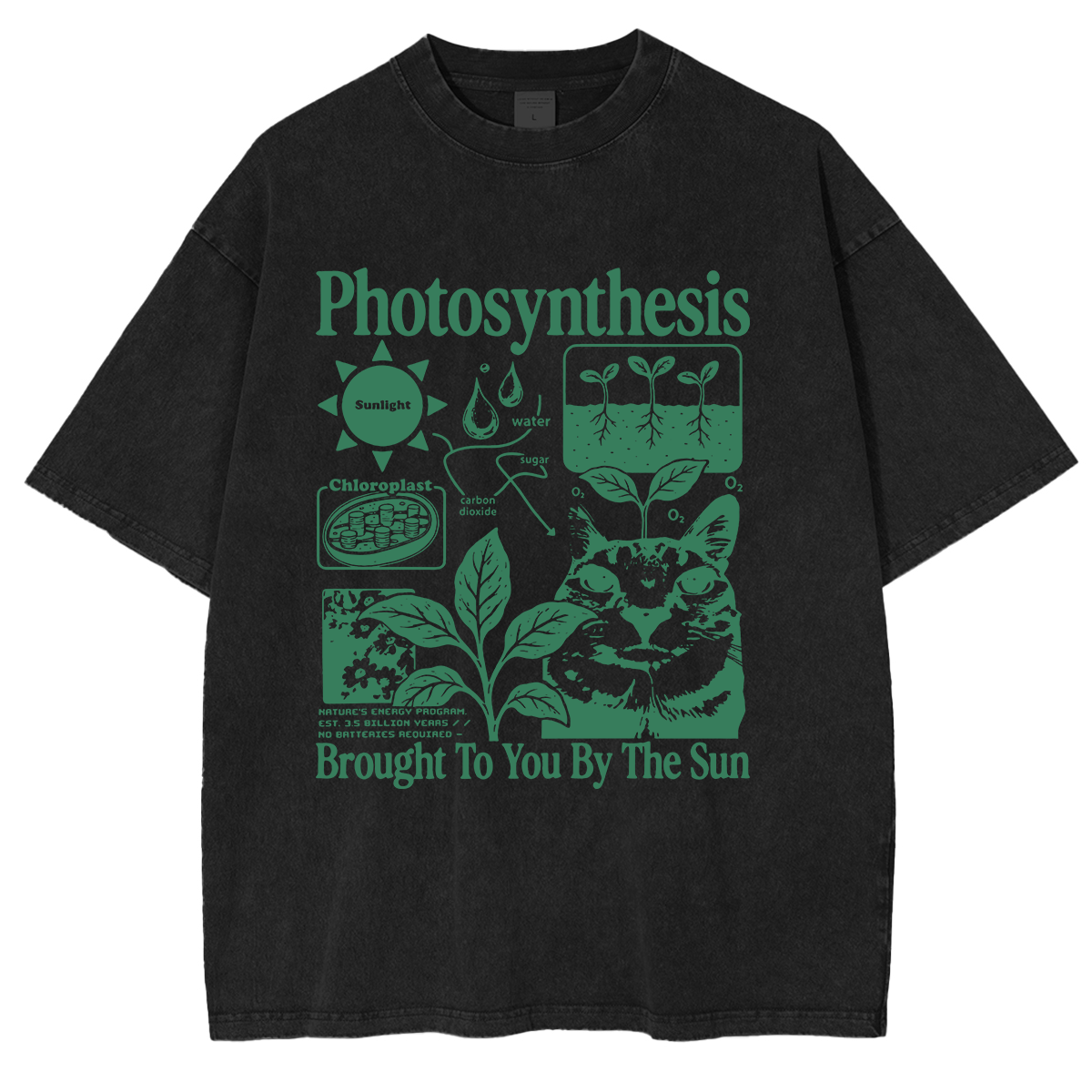 Photosynthesis Cat Washed T-shirts